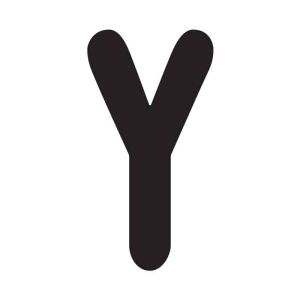 Y